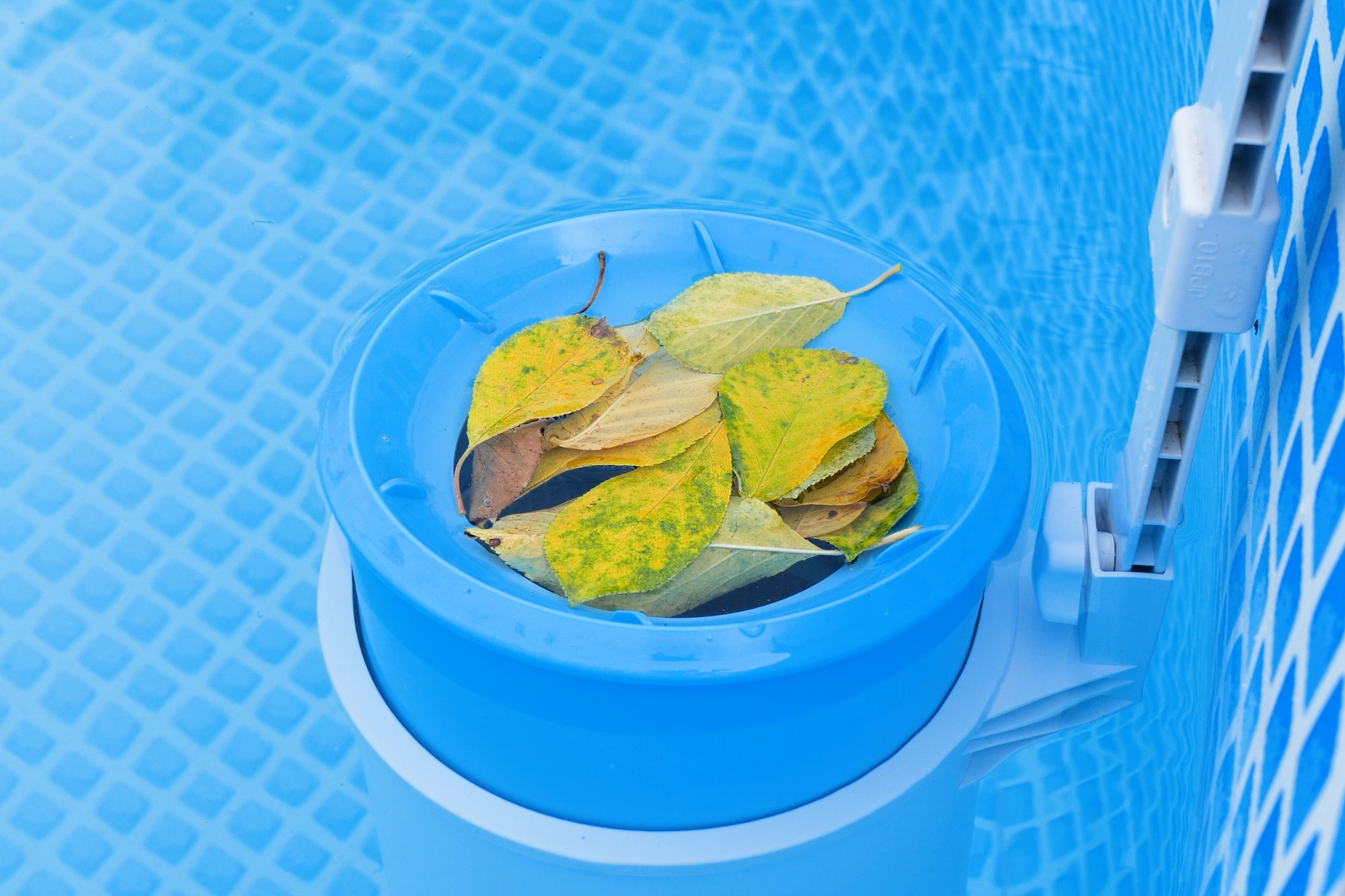 Top view of the blue skimmer for cleaning the pool in clear water. Contaminated pool cleaning